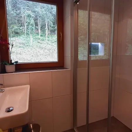 Lejlighed Zillertal Arena