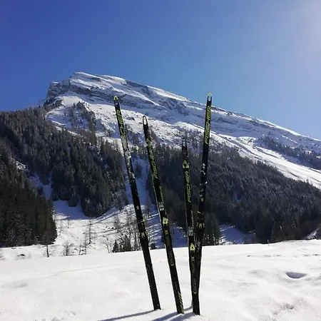 Zillertal Arena צל אם צילר